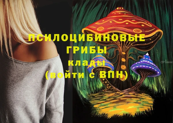 мдпв Балабаново